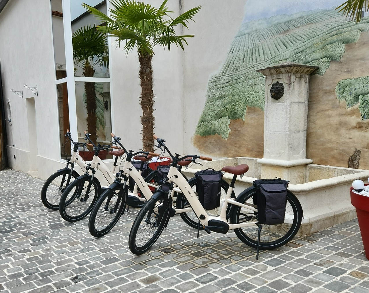 Domaine Sacret Ay - Tourisme en vélo electrique